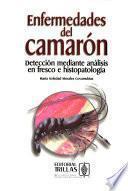 Enfermedades del camarón