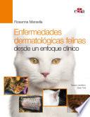 Enfermedades dermatológicas felinas desde un enfoque clínico