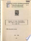 Enigma de una ciudadela pre-Inca y los petroglífos de Checta