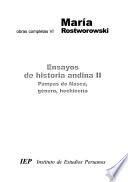 Ensayos de historia andina