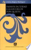 Ensayos en torno a la locura de don Quijote
