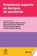 Enseñanza superior en tiempos de pandemia