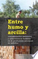 Entre humo y arcilla: contaminación ambiental y sobrevivencia humana en la producción artesanal de ladrillos