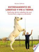 Entrenamiento en libertad y pie a tierra