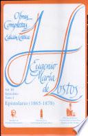 Epistolario: 1865-1878