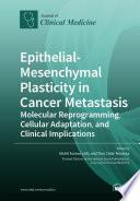 Epithelial-Mesenchymal Plasticity in Cancer Metastasis