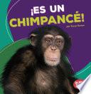 ¡Es Un Chimpancé! (It's a Chimpanzee!)