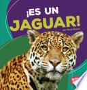 ¡Es un jaguar!