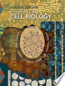 Essential Cell Biology