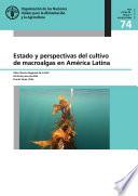 Estado y perspectivas del cultivo de macroalgas en América Latina