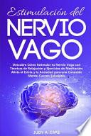 Estimulación del Nervio Vago