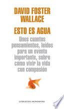 Esto es agua (Flash)