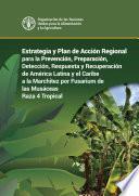 Estrategia y Plan de Acción Regional para la Preparación, Prevención, Detección, Respuesta y Recuperación de América Latina y el Caribe a la Marchitez por Fusarium de las Musáceas – Raza 4 Tropical