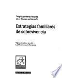Estrategias familiares de sobrevivencia