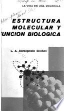 Estructura molecular y función biológica