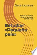 Estudiar «Pequeño País»