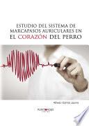 Estudio del sistema de marcapasos auriculares en el corazón del perro