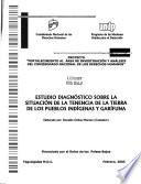 Estudio diagnóstico sobre la situación de la tenencia de la tierra de los pueblos indígenas y garífuna