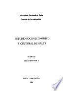 Estudio socio-económico y cultural de Salta: Area histórica