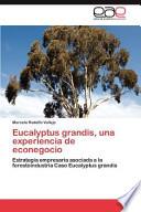 Eucalyptus Grandis, Una Experiencia de Econegocio