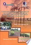 Evaluacion de Un Sistema Agroforestal en Callejones com Productores de Economia Campesina Del Pedemonte Araucano Y Casanareno