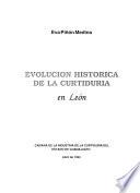Evolución historica de la curtiduría en León