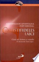 Exhortacion apostolica post-sinodal ''Christifideles laici''