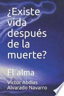 ¿existe Vida Después de la Muerte?