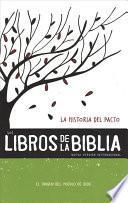 Experiencia Bíblica En Comunidad: Los Libros de la Biblia NVI (4 Volúmenes )