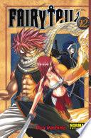 Fairy Tail 12