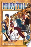 Fairy Tail 22