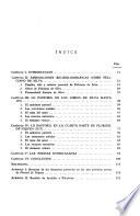 Feliciano de Silva y los antecedentes de la novela pastoril en sus libros de caballerías