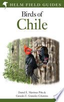 Field Guide to the Birds of Chile