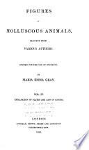 Figures of Molluscous Animals