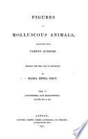 Figures of Molluscous Animals