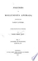 Figures of Molluscous Animals, Selected from Various Authors