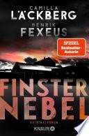 Finsternebel