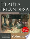 Flauta Irlandesa para Principiantes