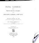 Flora Capensis