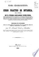 Flora cesaraugustana y curso práctico de botánica