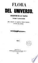 Flora del Universo