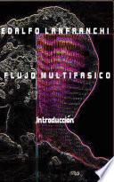 Flujo Multifasico I