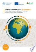 Food Systems Profile – Mozambique