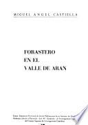 Forastero en el Valle de Arán