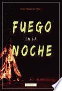 Fuego en la noche