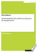Funcionamiento del cerebro en el proceso de interpretación