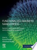 Functionalized Magnetic Nanohybrids