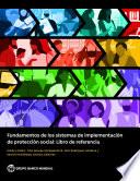 Fundamentos de los sistemas de implementación de protección social