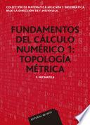 Fundamentos del cálculo numérico 1. Topología métrica (Colección de matemática aplicada e informática)