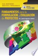 Fundamentos para la formulación y evaluación de proyectos
